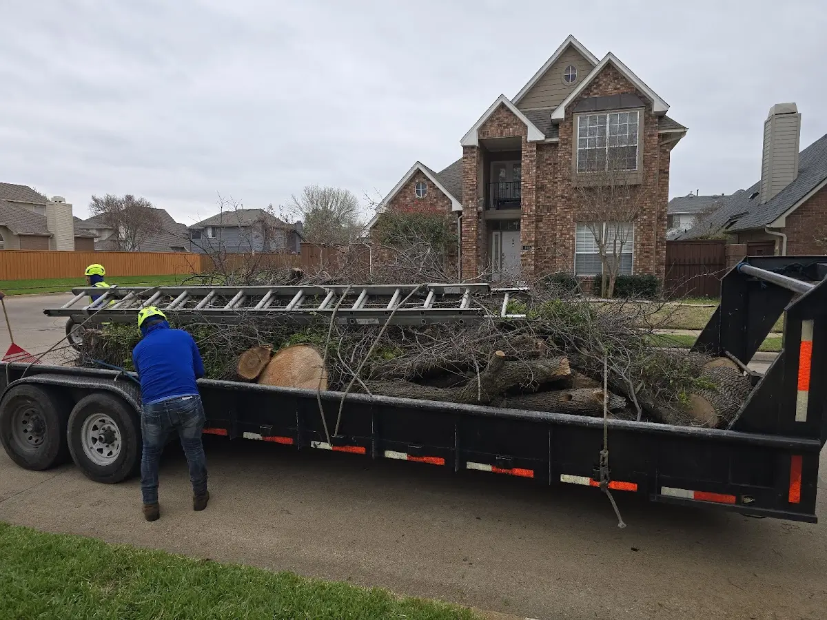 Expert Tree Pest Control with proper safety equipment in Cannel City